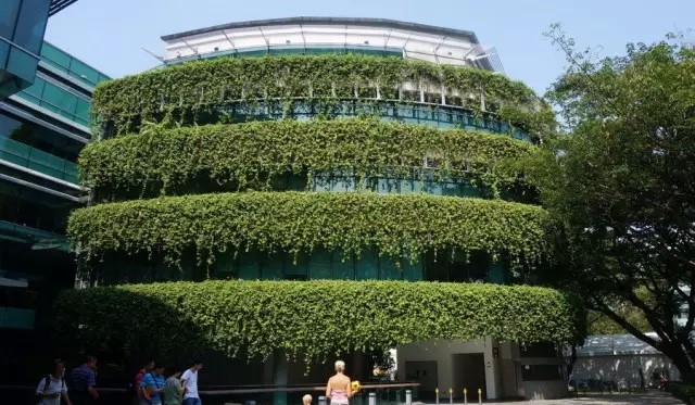 街頭建筑外立面垂直綠化