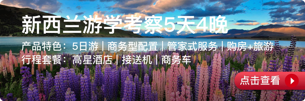 項目詳情鏈接-copy-20.png